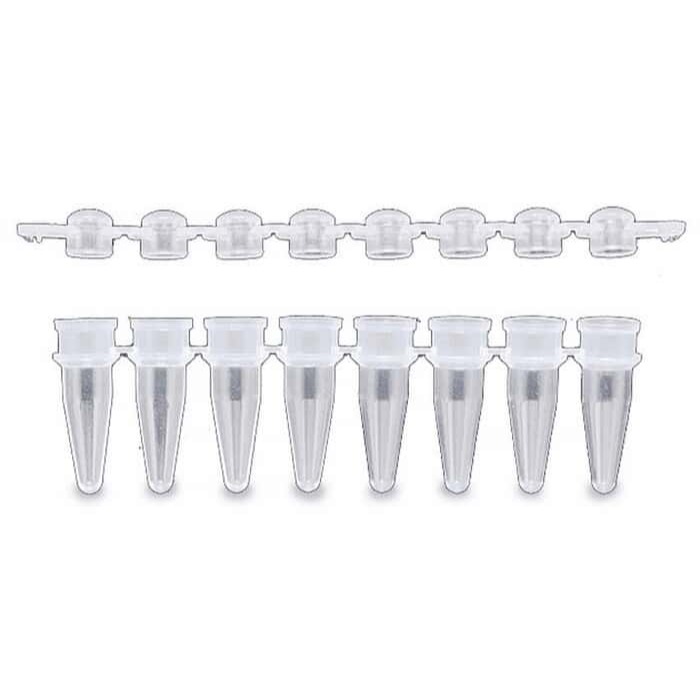 JOANLAB PCR Tube Tabung PCR 0.2 ml isi 125 Strip / 1000 Tabung